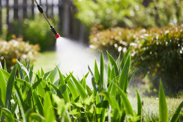 Tamper-Resistant Bait Stations for Rodents in North Tustin