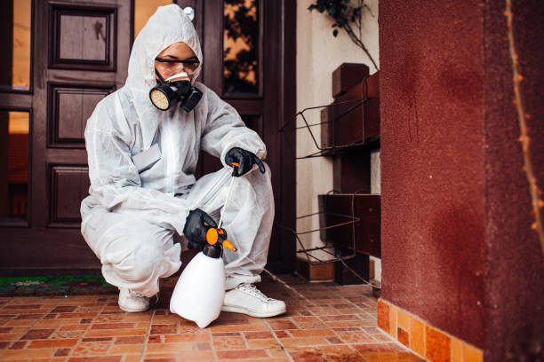Attic and Crawl Space Rodent Treatment in North Tustin